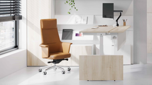 Executive Chairs